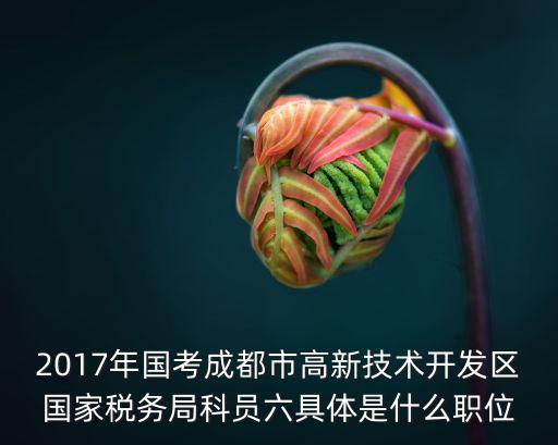 2017年國(guó)考成都市高新技術(shù)開(kāi)發(fā)區(qū)國(guó)家稅務(wù)局科員六具體是什么職位