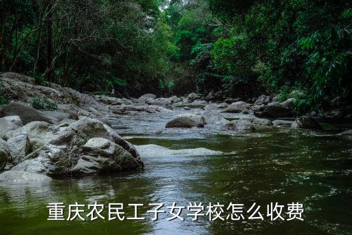 重慶農(nóng)民工子女學(xué)校怎么收費