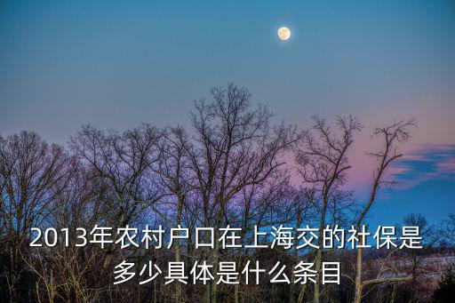 上海落戶 2倍社保，2013年農村戶口在上海交的社保是多少具體是什么條目