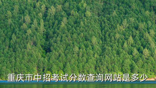 重慶市中招考試分數查詢網站是多少