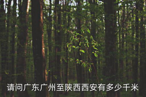 請問廣東廣州至陜西西安有多少千米