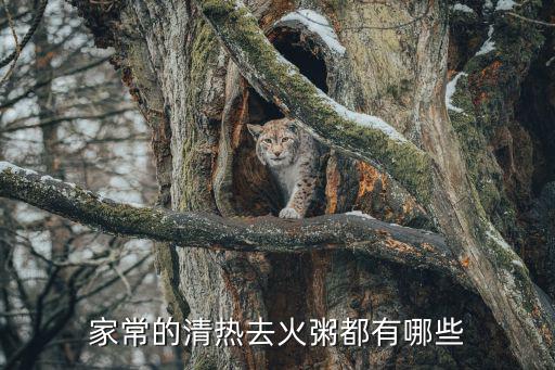 菠菜瘦肉粥的做法,清熱去火的家常粥有哪些?
