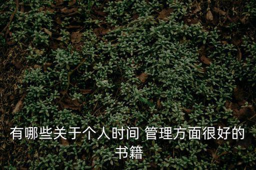 有哪些關(guān)于個(gè)人時(shí)間 管理方面很好的 書籍