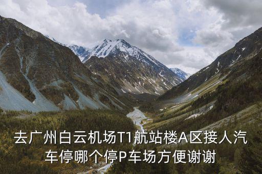 去廣州白云機場T1航站樓A區接人汽車停哪個停P車場方便謝謝