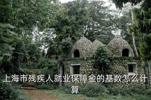 上海市殘疾人就業保障金的基數怎么計算