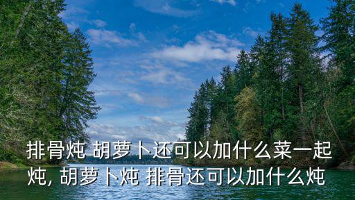  排骨燉 胡蘿卜還可以加什么菜一起燉, 胡蘿卜燉 排骨還可以加什么燉