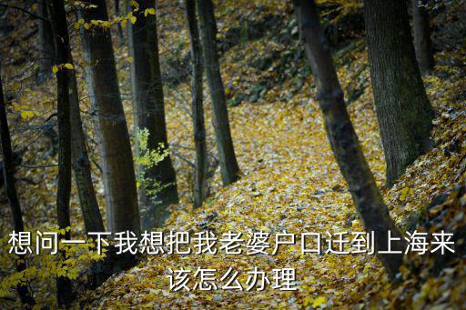想問一下我想把我老婆戶口遷到上海來該怎么辦理