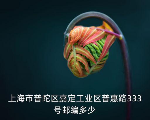 上海市普陀區(qū)嘉定工業(yè)區(qū)普惠路333號郵編多少