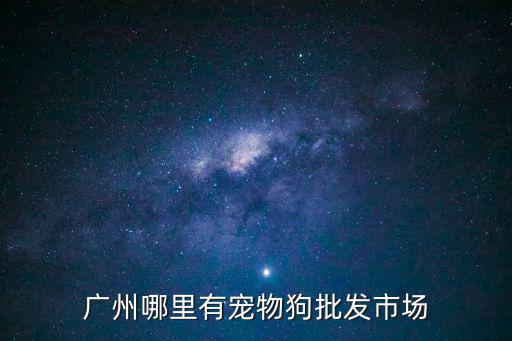 廣州哪里有寵物狗批發(fā)市場