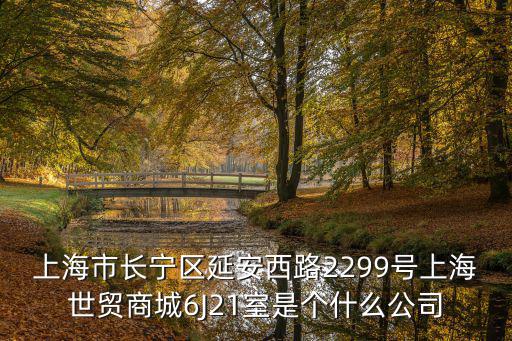 上海市長寧區延安西路2299號上海世貿商城6J21室是個什么公司