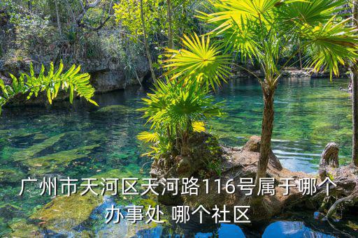 廣州市天河區天河路116號屬于哪個辦事處 哪個社區
