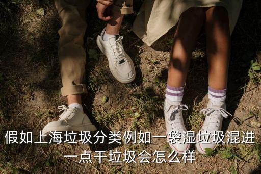 假如上海垃圾分類例如一袋濕垃圾混進一點干垃圾會怎么樣
