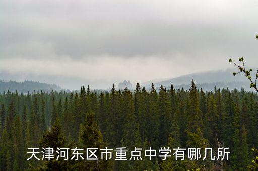 天津河東區市重點中學有哪幾所
