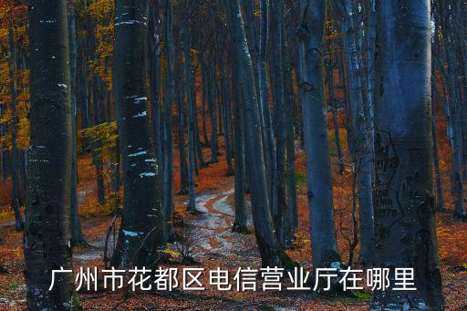 廣州鴻順駕校獅嶺網點，無限極廣州花都新華專賣店地址電話