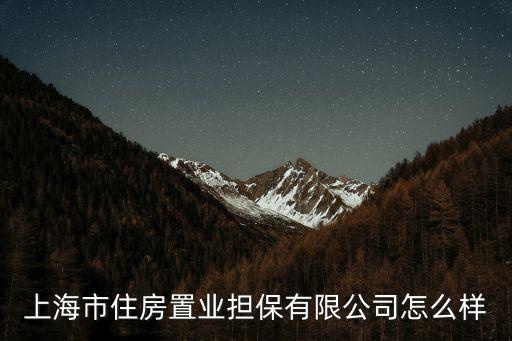 上海市住房置業(yè)擔(dān)保有限公司怎么樣