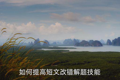 如何提高短文改錯解題技能