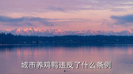 城市養雞鴨違反了什么條例