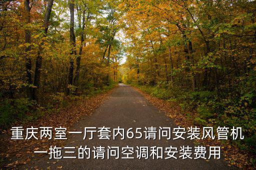 重慶兩室一廳套內(nèi)65請(qǐng)問安裝風(fēng)管機(jī)一拖三的請(qǐng)問空調(diào)和安裝費(fèi)用