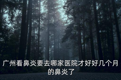 廣州看鼻炎要去哪家醫院才好好幾個月 的鼻炎了