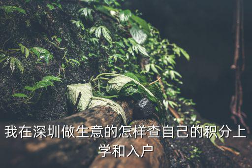 深圳的積分怎么查，我在深圳做生意的怎樣查自己的積分上學和入戶