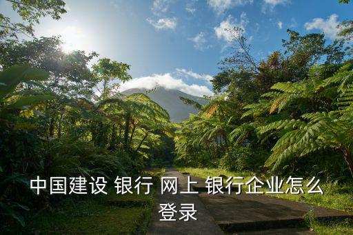 中國(guó)建設(shè) 銀行 網(wǎng)上 銀行企業(yè)怎么 登錄