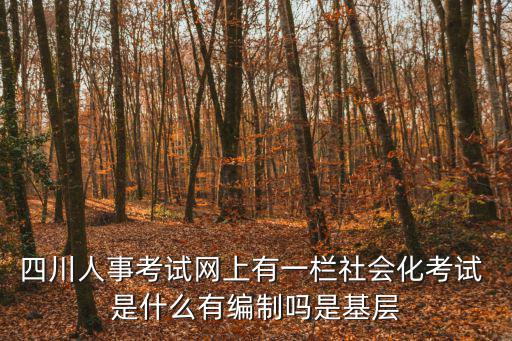 成都市社會化專業人才考試，已解答社會化用工考試每年什么時候報名