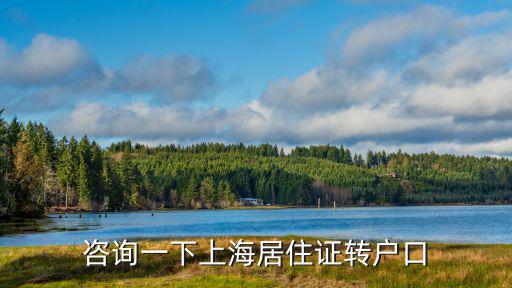 咨詢一下上海居住證轉戶口