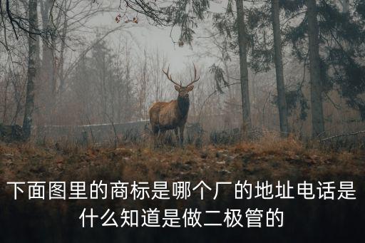 下面圖里的商標(biāo)是哪個廠的地址電話是什么知道是做二極管的