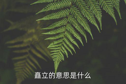 矗立的意思是什么