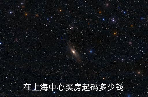 在上海中心買房起碼多少錢