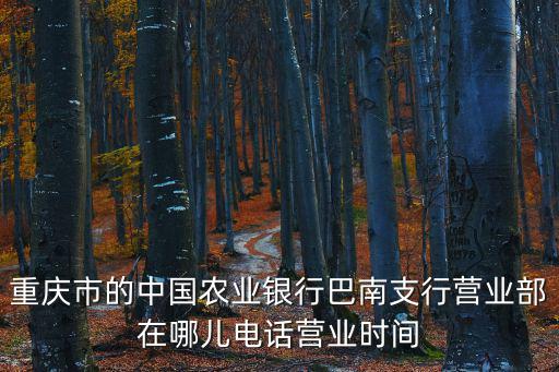 重慶市的中國農(nóng)業(yè)銀行巴南支行營業(yè)部在哪兒電話營業(yè)時間