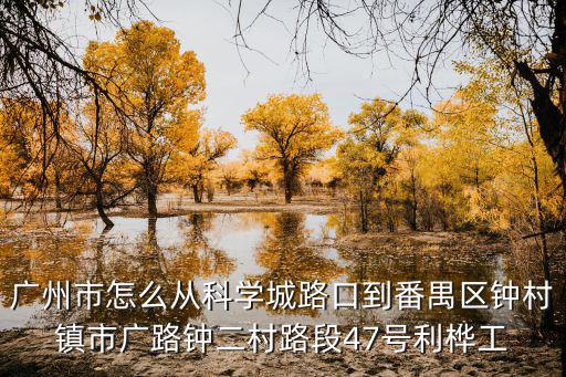 廣州市怎么從科學(xué)城路口到番禺區(qū)鐘村鎮(zhèn)市廣路鐘二村路段47號利樺工