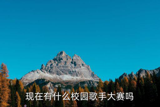 校園歌手大賽，現(xiàn)在有什么校園歌手大賽嗎