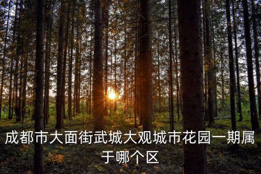 成都市大面街武城大觀城市花園一期屬于哪個區