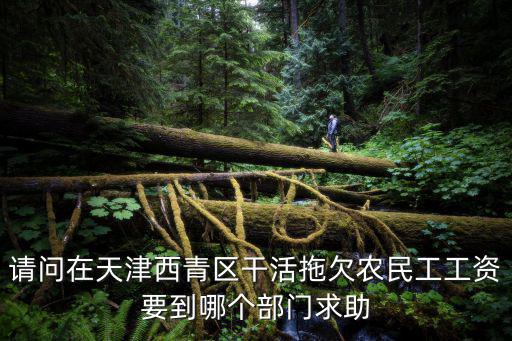 天津市西青區王村別墅違章強拆，請問在天津西青區干活拖欠農民工工資要到哪個部門求助
