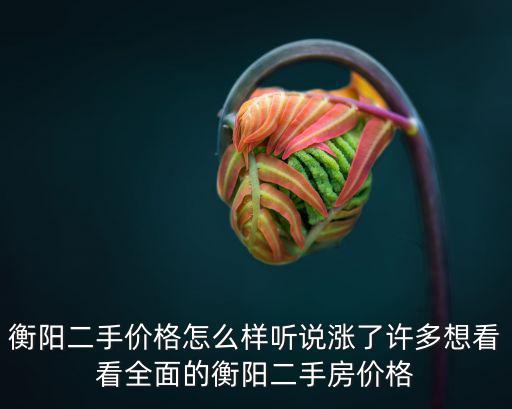 衡陽(yáng)二手價(jià)格怎么樣聽(tīng)說(shuō)漲了許多想看看全面的衡陽(yáng)二手房?jī)r(jià)格