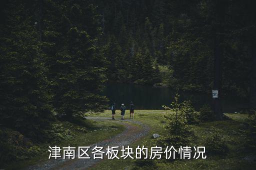津南區各板塊的房價情況