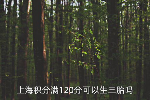 上海積分滿120分可以生三胎嗎