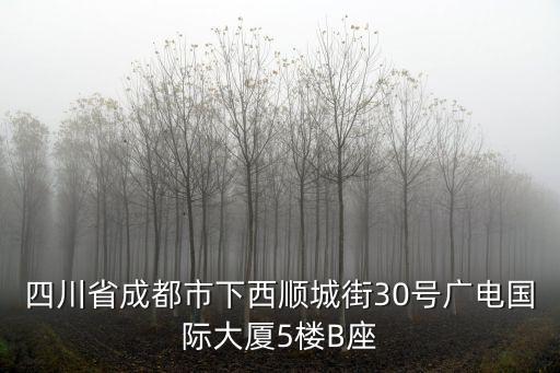 四川省成都市下西順城街30號廣電國際大廈5樓B座