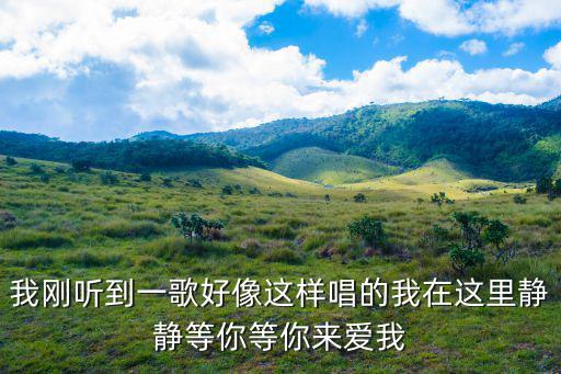 天津市的夜里我靜靜等你，我在靜靜等你 歌詞