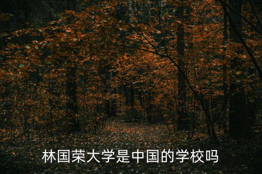 青浦林國榮國際學校，林國榮大學是中國的學校嗎