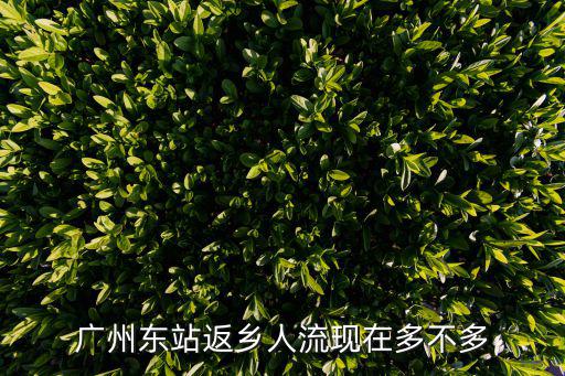 廣州返程人多嗎，現在從廣州做火車回棗陽的人多嗎