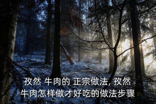  孜然 牛肉的 正宗做法, 孜然 牛肉怎樣做才好吃的做法步驟