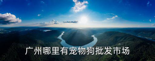 廣州哪里有寵物狗批發(fā)市場(chǎng)