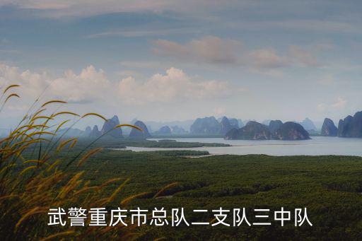 武警重慶市總隊二支隊三中隊
