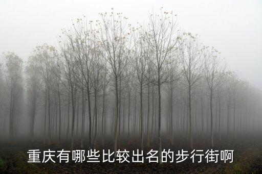 重慶市沙坪壩步行街，重慶有幾條步行街都在什么地方