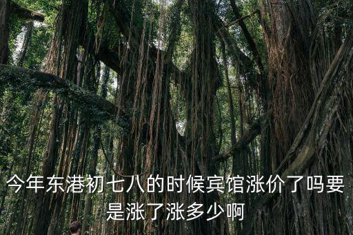 今年東港初七八的時候賓館漲價了嗎要是漲了漲多少啊