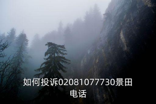 如何投訴02081077730景田電話