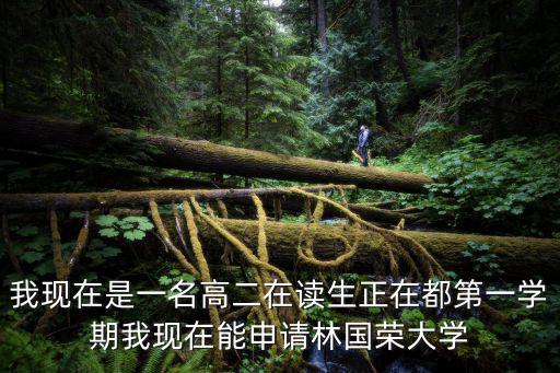 我現在是一名高二在讀生正在都第一學期我現在能申請林國榮大學