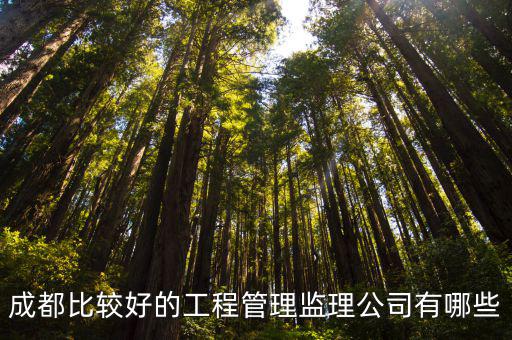 成都比較好的工程管理監(jiān)理公司有哪些